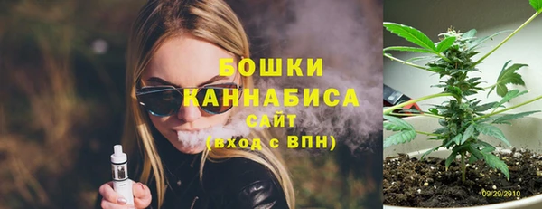 СК Осинники