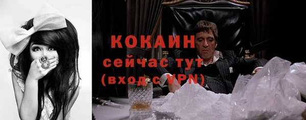 СК Осинники