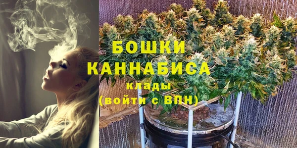 a pvp Пересвет