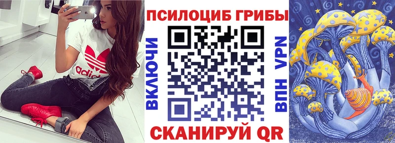 Галлюциногенные грибы прущие грибы  как найти наркотики  Суоярви 